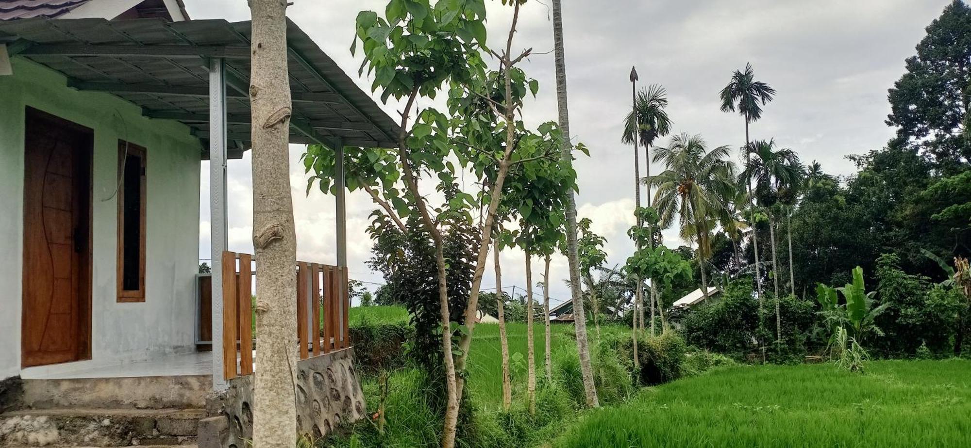 Bayan Exotic Homestay Senaru Zewnętrze zdjęcie