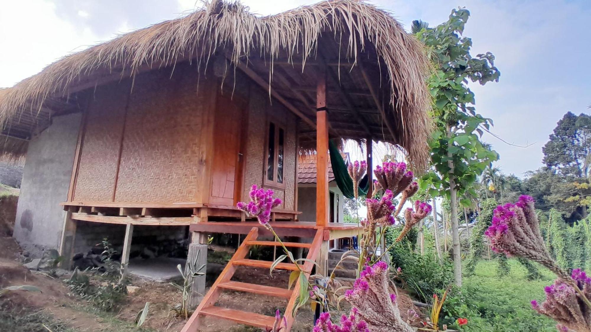 Bayan Exotic Homestay Senaru Zewnętrze zdjęcie